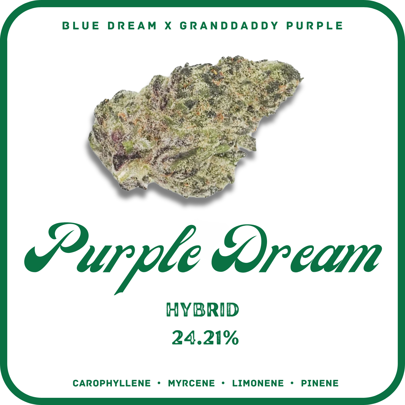 PURPLE DREAM THCA FLOWER- HYBRID 24.21%