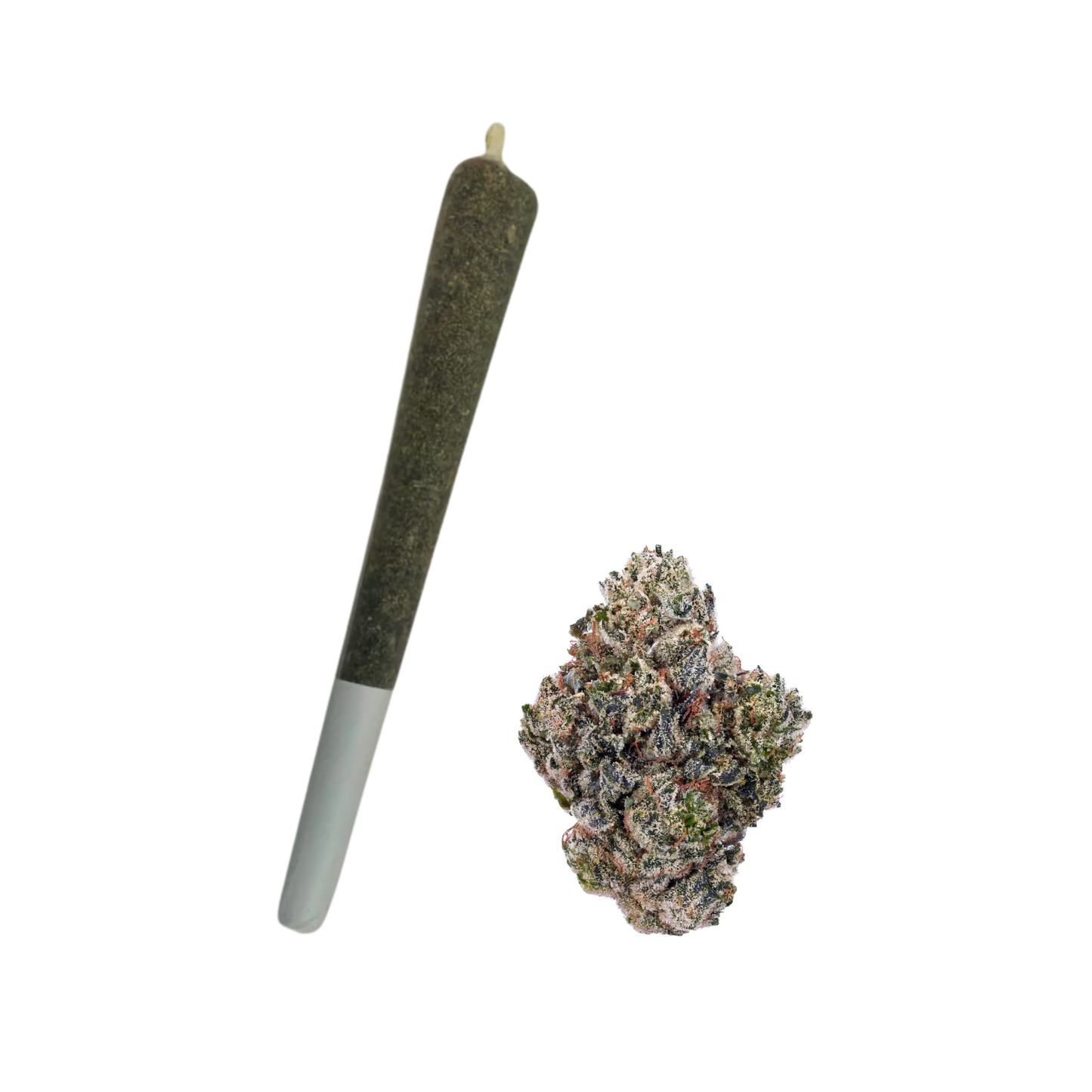 GORILLA GLUE 1G PREROLL- SATIVA 24.51%