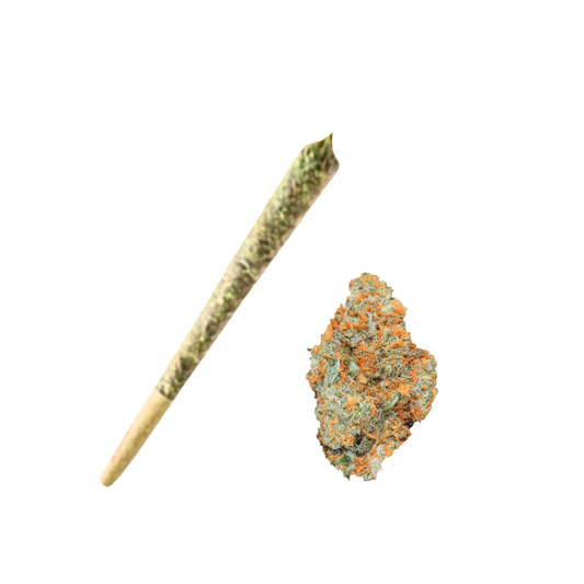 LAMBO PRE-ROLL- SATIVA 29.9%